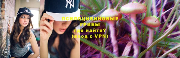 скорость Алексин