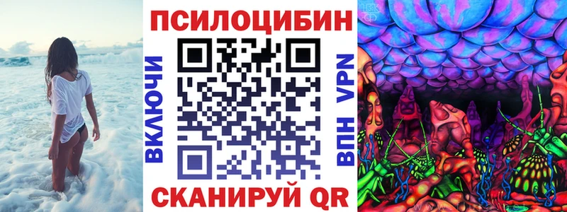 Псилоцибиновые грибы Psilocybine cubensis  купить   Кизел 