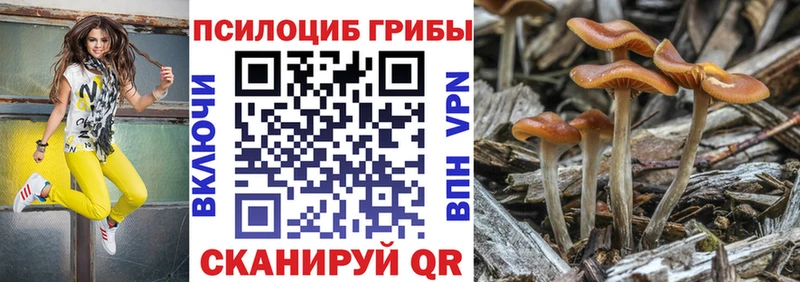 Галлюциногенные грибы мухоморы Кизел